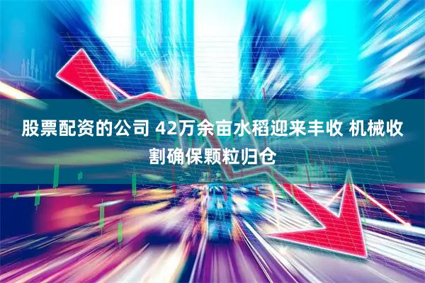 股票配资的公司 42万余亩水稻迎来丰收 机械收割确保颗粒归仓