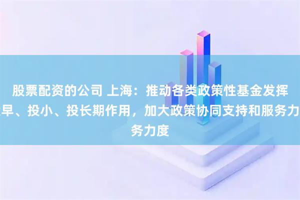 股票配资的公司 上海：推动各类政策性基金发挥投早、投小、投长期作用，加大政策协同支持和服务力度