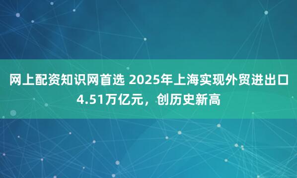 网上配资知识网首选 2025年上海实现外贸进出口4.51万亿元，创历史新高