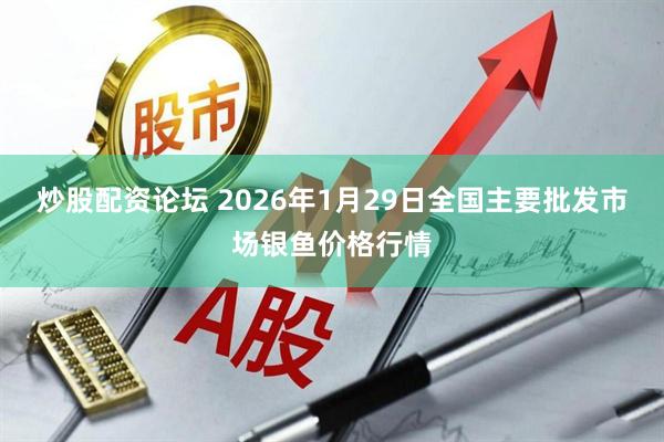 炒股配资论坛 2026年1月29日全国主要批发市场银鱼价格行情